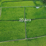 CANGGU LAND