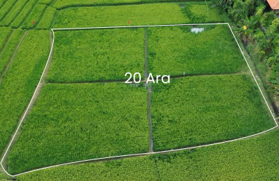 CANGGU LAND