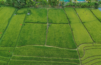 CANGGU LAND